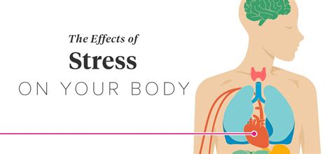 The Effects Of Stress On Your Body