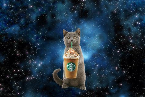 Cat drinking milk cartoon vector. Coffee Science Update: Mysterious Mists, Space Demitasses ...