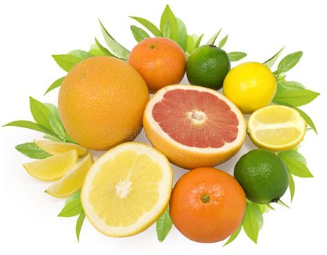Citrus Fruits Stock Photo Image Of Items Isolated Fruits 17608084