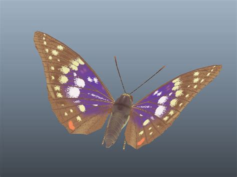 We strongly recommend that you mix the colours of your flowers into hybrids as this will. Great Purple Emperor Butterfly 3d model Maya files free ...
