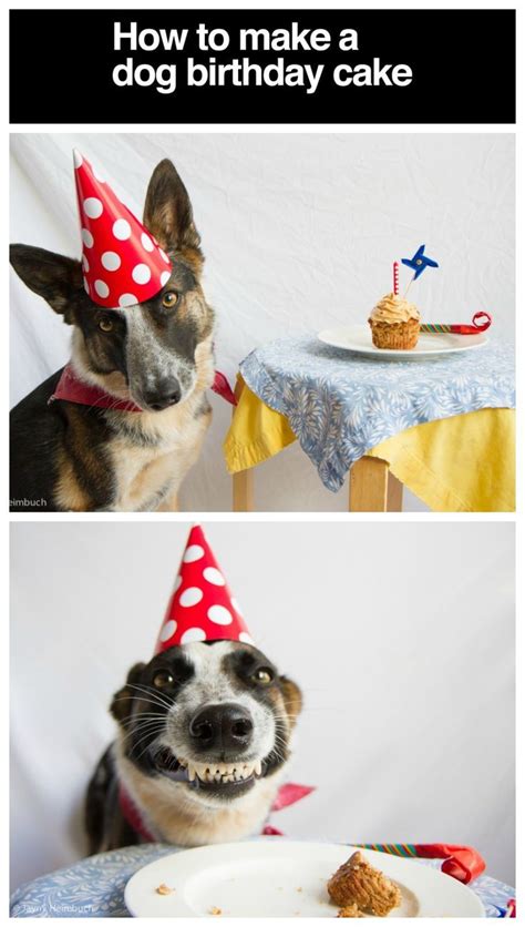 If you're using a stand mixer, about 2 minutes. How to Make a Dog Birthday Cake | Dog birthday cake, Dog birthday, Dog cakes