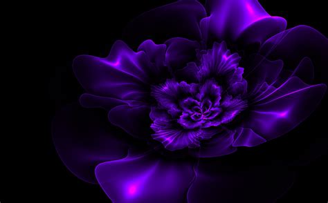 Violet Purple Flower Wallpaper Gambar Bunga