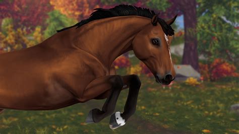 Where Are The New Horses In Star Stable 2024 Hetty Philippe