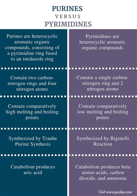 Difference Between Purines And Pyrimidines Study Biology