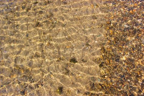 Clean Sea Water And Stones At The Bottom Rocky Seashore Pebbles And