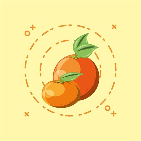 Premium Vector Orange And Tangerine