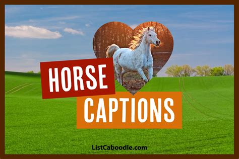 Horse Captions, Quotes To Make Your Instagram Trot! | Horses, Western