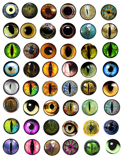 Now you can edit files before downloading them. animals eyes digital collage sheet 1x1 inch circles ...