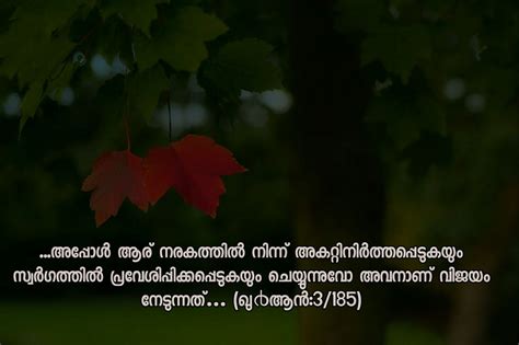 You must be the change you wish to see in the world. Allah is great | Malayalam quotes, Greatful, Quotes