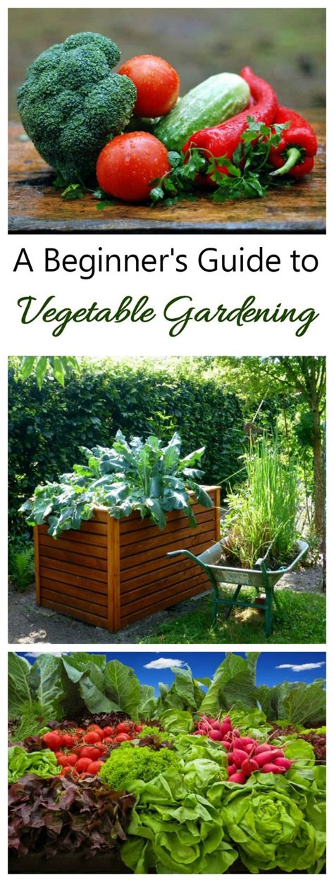 Vegetable Gardening The Complete Guide To Growing Your Own Food