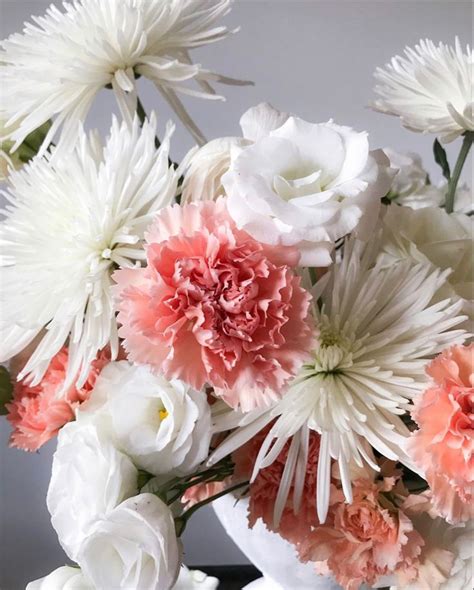 Peach Carnations Standard Carnation Wedding Flowers Flowers Near