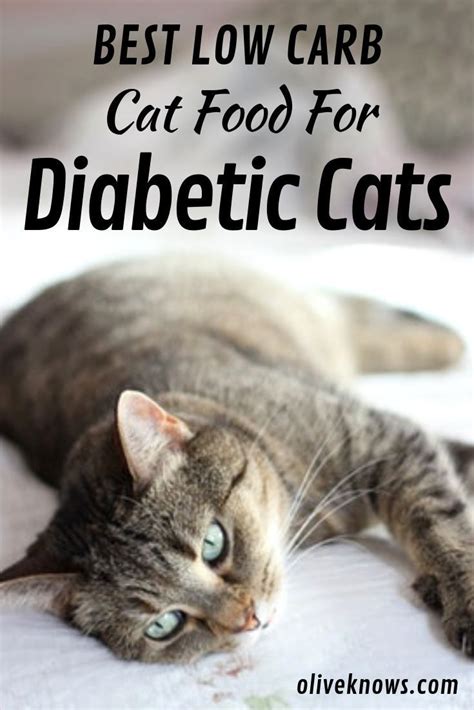 Don't feed your cat these foods. Top 7 Best Low Carb Cat Food Options for Diabetic Cats ...