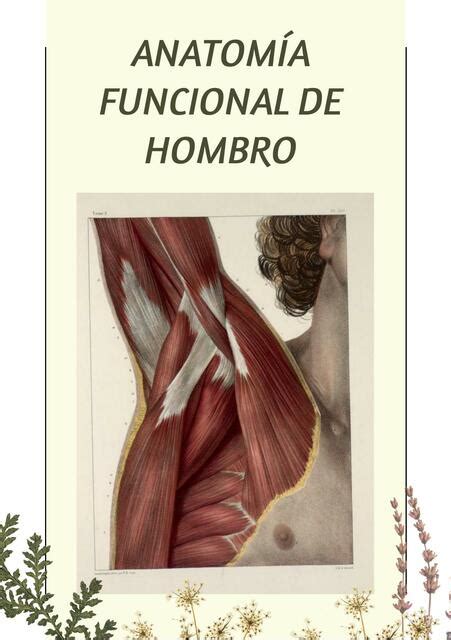 Anatomia Hombro Fisiot