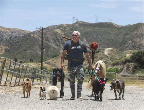 Dog Whisperer Cesar Millan Offers Tips For Dog Owners Los Angeles Times
