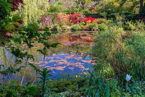 Beautiful Lily Pond In Spring In Claude Monet S Garden Giverny France
