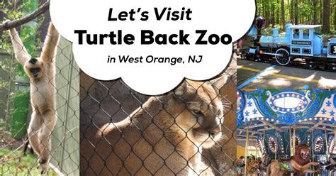 A Review Of The Turtle Back Zoo Classic New Jersey Day Trips The