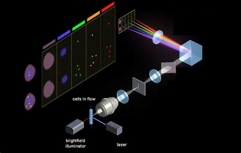 How It Works Multispectral Imaging Life Science Research Merck