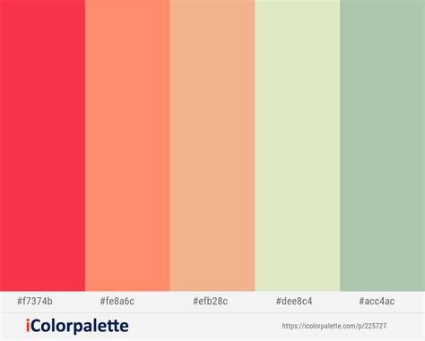 Pink Salmon Procreate Palette 30 Hex Color Codes Instant Digital