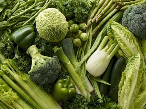 Variety Of Fresh Green Vegetables Stock Image F0223468 Science