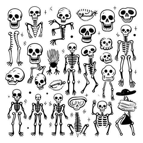 Halloween Scary Bones Skeletons In Doodle Style Medicine Design Vector