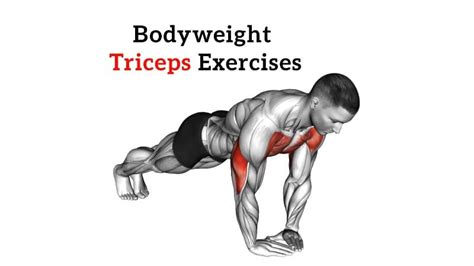 Best Biceps Exercises With Dumbbells For Mass Strength