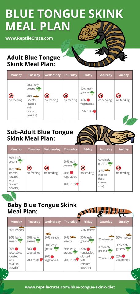 Blue Tongue Skink Diet Guide Food List Included Reptile Craze