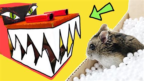 🐹dragon Hamster Maze With Obstacle Course Bonus Youtube