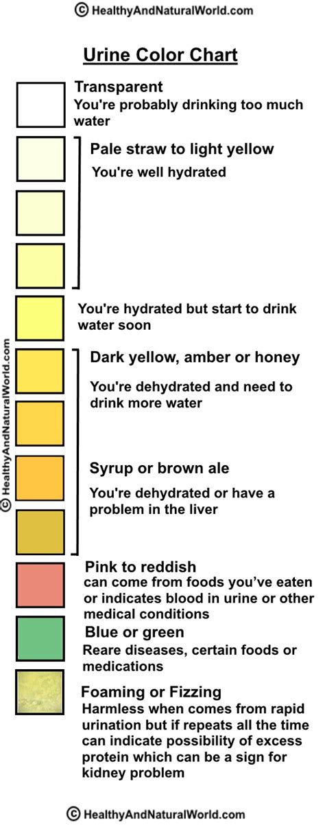 Pregnancy Urine Color Chart Warehouse Of Ideas