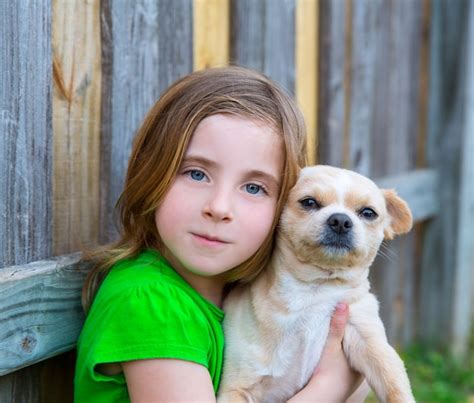 Premium Photo Blond Happy Girl With Her Chihuahua Doggy Portrait