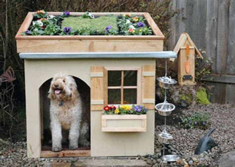 10 Luxury Dog Houses That Are More Stylish Than Our Own Homes