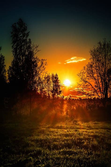Beautiful Sunset In The Forest Meadow Stock Image Image Of Park Dark