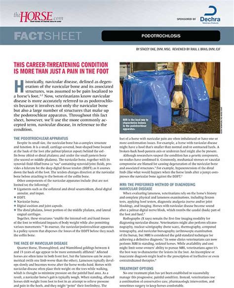 Fact Sheet Equine Navicular Syndrome The Horse