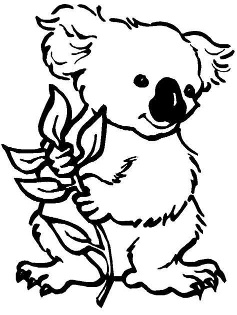 Koalas Coloring Pages Coloring Home