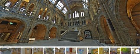 Virtual Museum 13 Ways To Explore From Home Natural History Museum