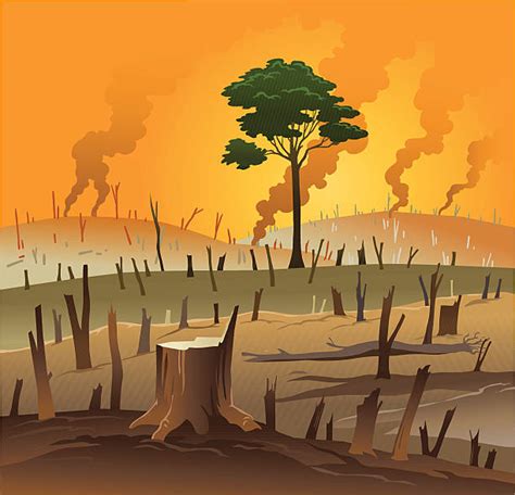 Deforestation Illustrations Royalty Free Vector Graphics And Clip Art