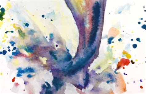 Watercolor Dolphin Colorful Art Print By Bethany Kerr Etsy