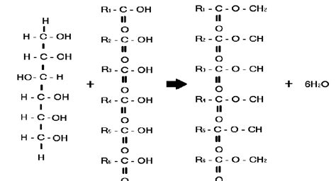 Reaction Of Triglyceride Formation From Glycerol With Fatty Acid