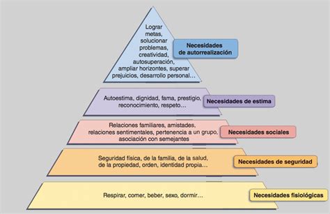 Las Necesidades Básicas De La Pirámide Una Guía Para Entender Sus