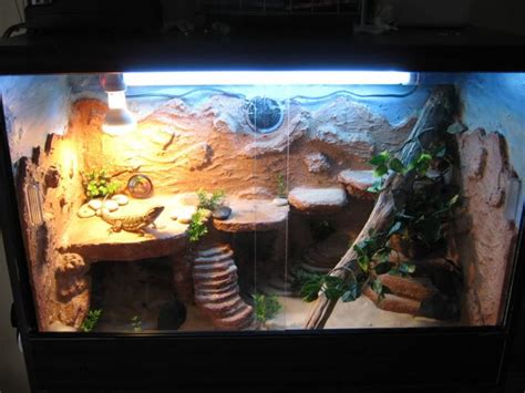 Leopard geckos make great pets for both the experienced and the inexperienced herptile pet we also have an under tank heating pad but didn't put it on. http://coolexoticpets.com/wp-content/uploads/2012/07 ...