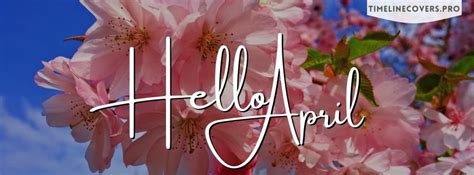 Hello April Just Be Good Like Pink Flowers Facebook Cover