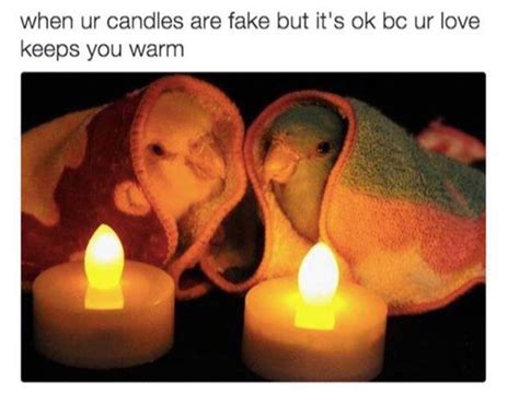 How do we love these love memes? 25 Wholesome Memes That Prove the Internet Isn't All Bad ...