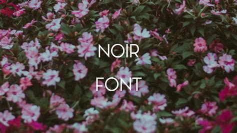 Noir Font Free Download Free Download Cofonts