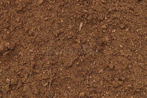 Peat Turf Macro Closeup Large Detailed Brown Organic Humus Soil