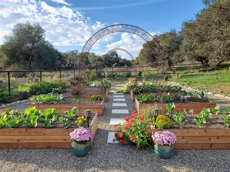 Homestead Update: Fall Garden Tour '22 (Video and Photos) ~ Homestead