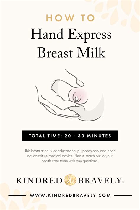 How To Hand Express Breast Milk Breastfeeding And Pumping Breast