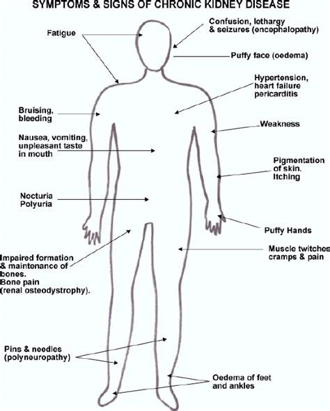 Learn vocabulary, terms and more with flashcards, games and other study tools. Information of diseases: July 2011