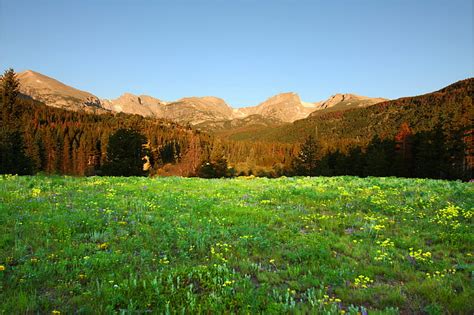 Hd Wallpaper Green Grass Field During Daytime Rocky Mountain National