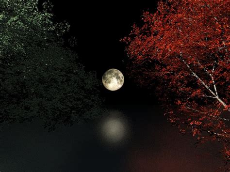 fall harvest moon pictures for desktop the autumn nights x3 just the unwinding of thoughts