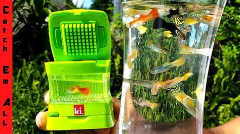 Worlds Smallest Aquarium Colorful Mini Live Fish Tank Youtube