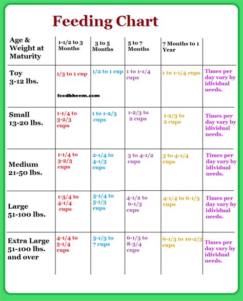 Dog Diet Chart And Schedule Puppy Feeding Schedule Dog Feeding